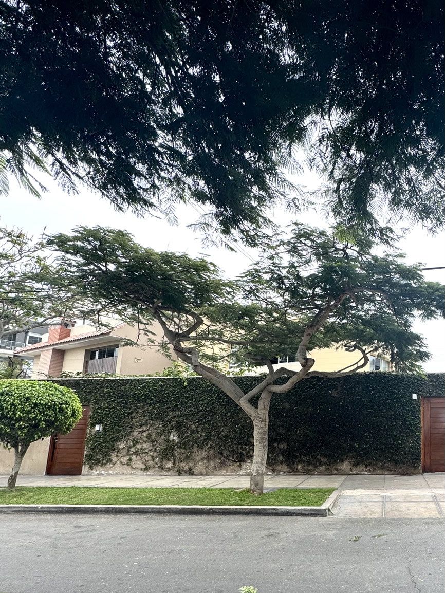 Casa de 3 pisos en venta Calle Luis Mannarelli – Magdalena - AGB Inmobiliaria