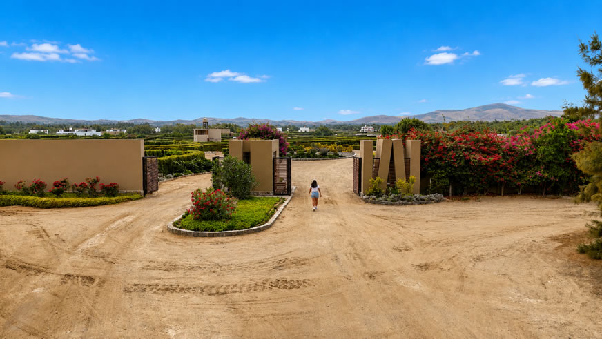 Km 137 de la Panamericana Norte, Huacho - 1001.55 m2 - 0 habitaciones</h3>